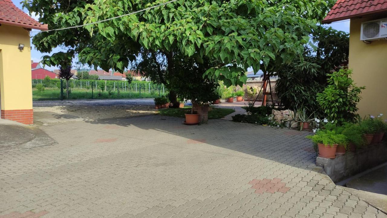 Eckhardt Vendeghaz Hotel Villány Екстериор снимка